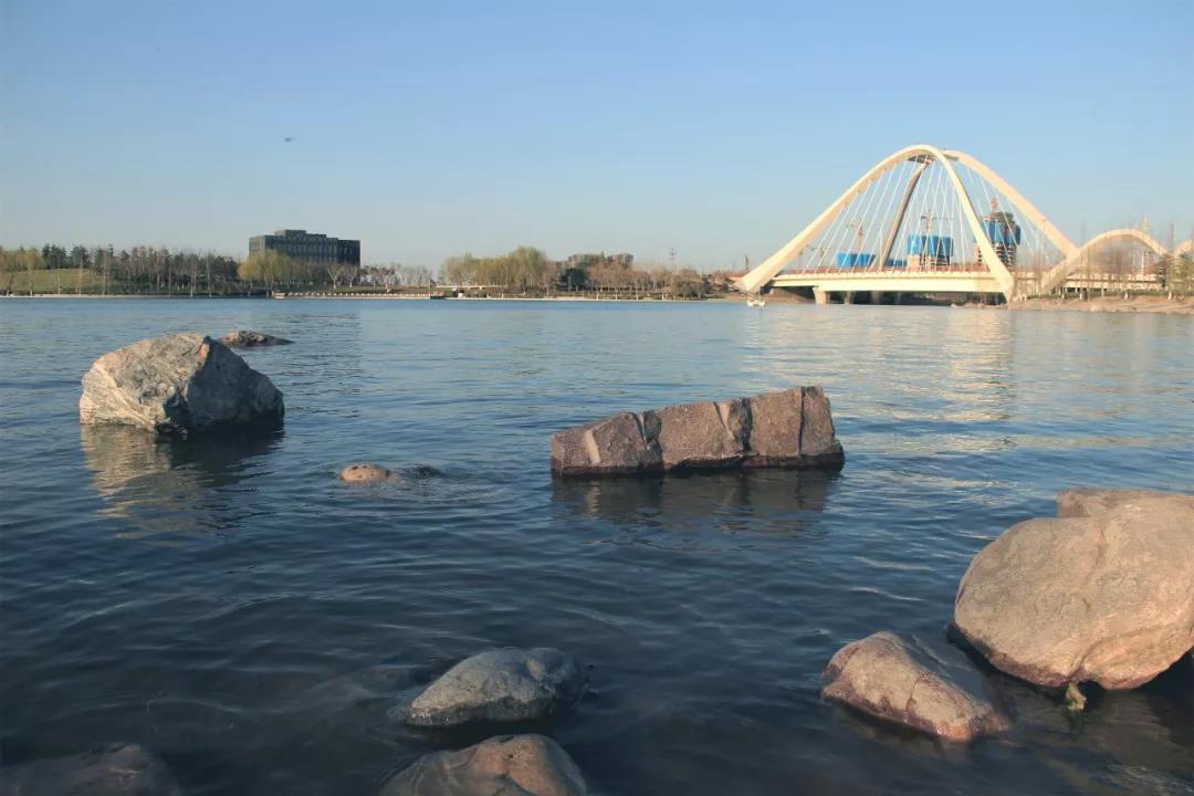 千畝生態(tài)水系實景圖